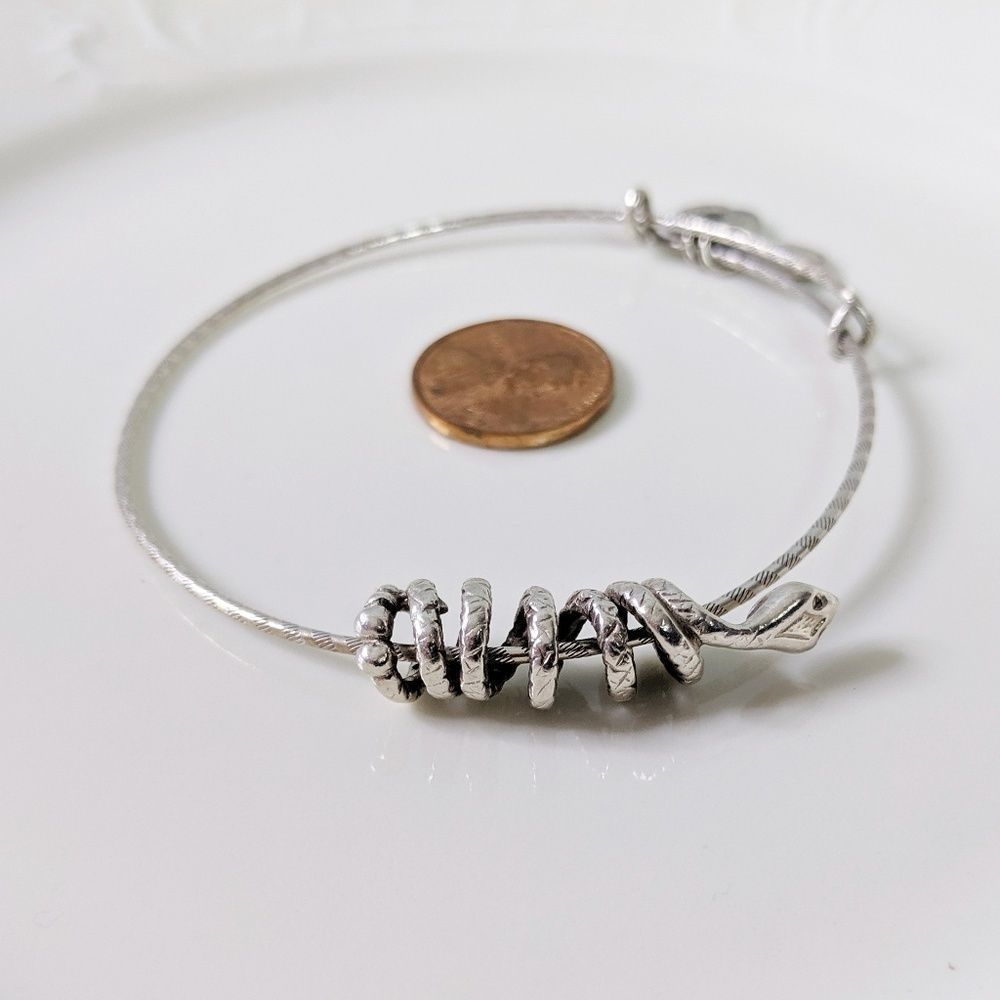 Alex and Ani Silver Sliding Coiled Snake Bracelet